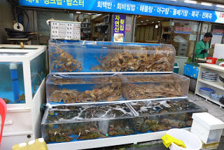 Fischmarkt in Busan