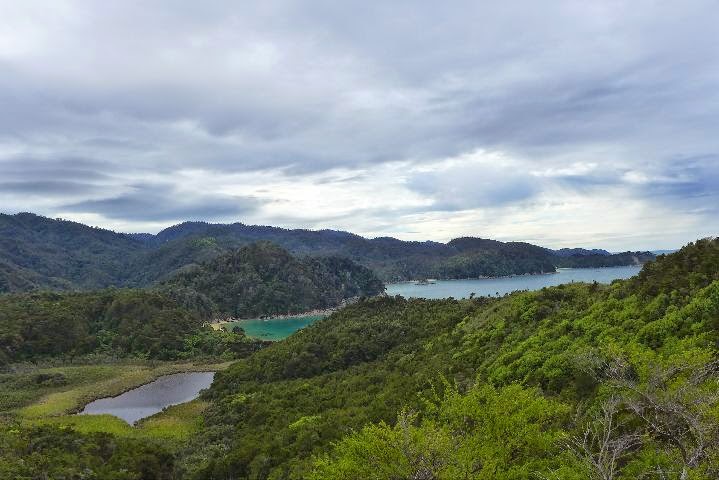 Abel Tasman National Park