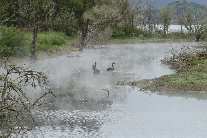 Lake Rotmahana