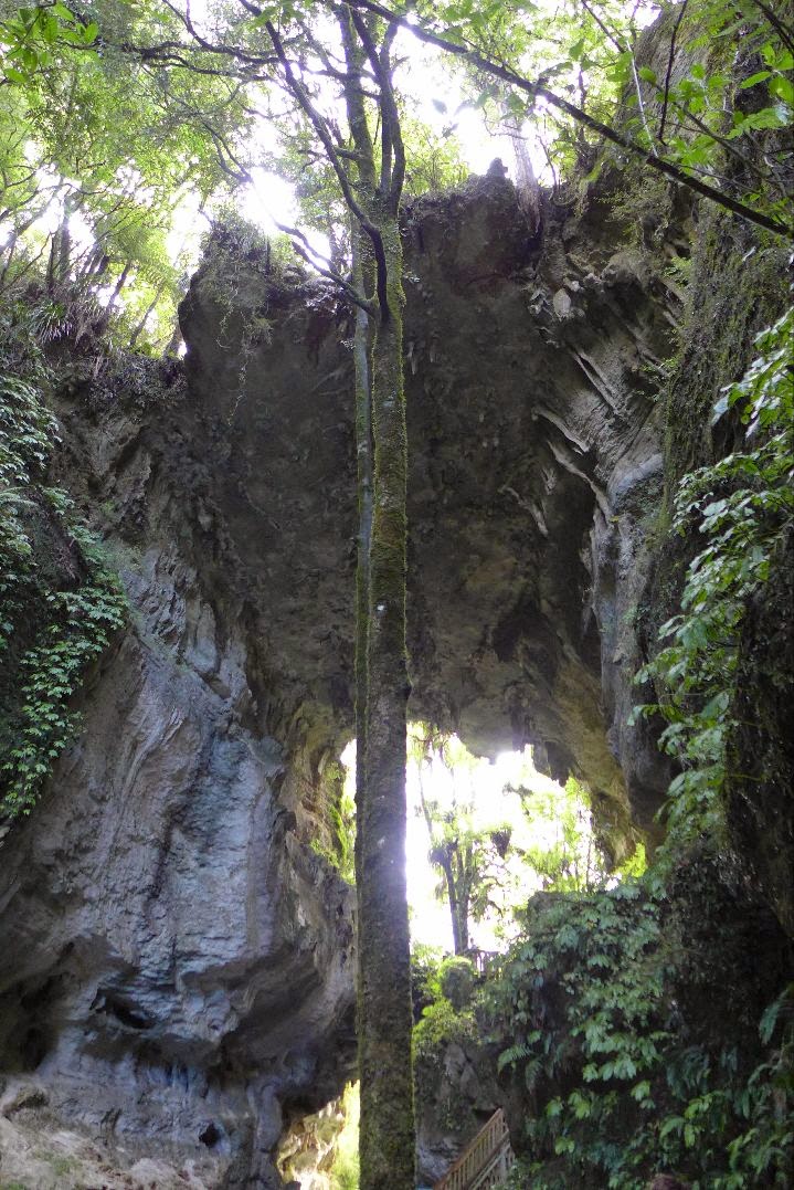 Mangapohue Natural Bridge