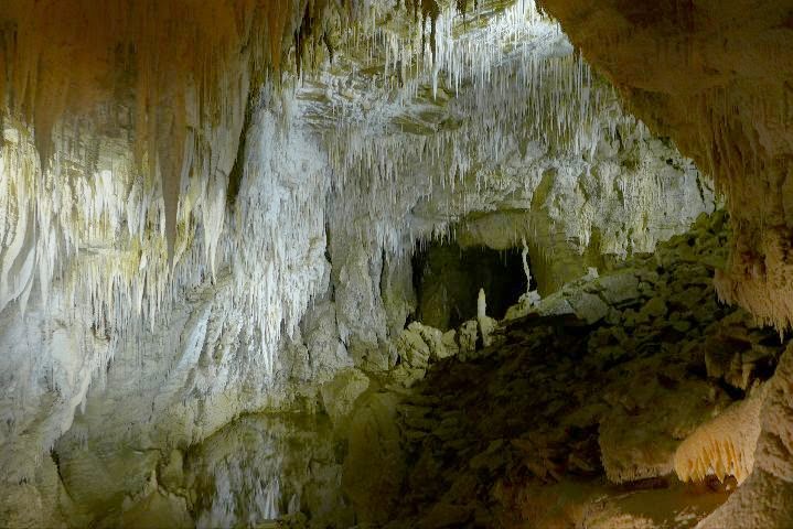 Ruakuri Cave