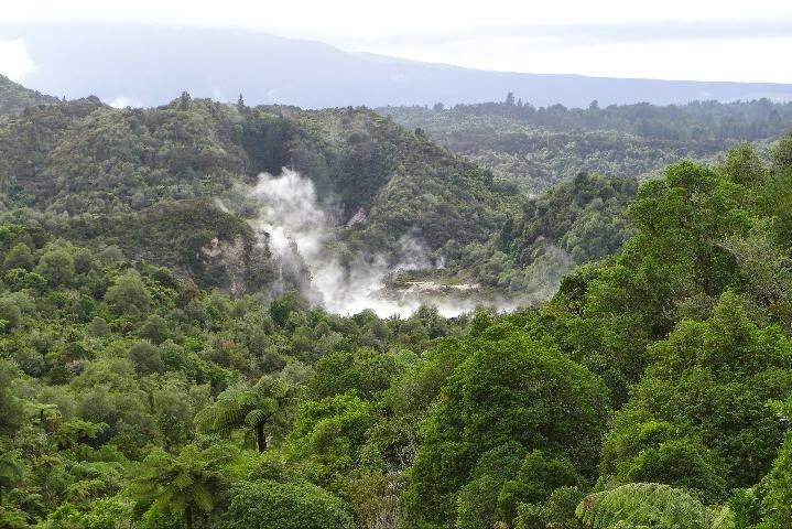 Waimangu Volcanic Valley