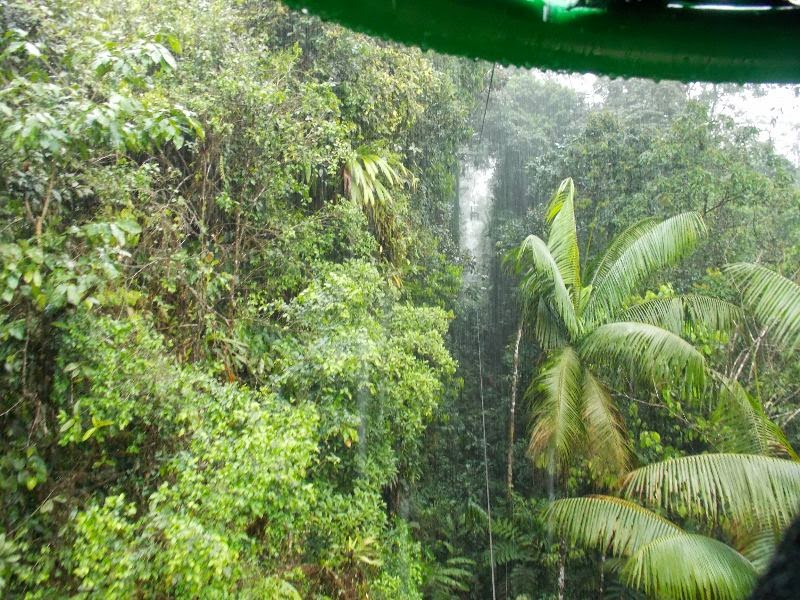 Seilbahn durch den Regenwald