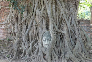 Ayutthaya Buddha