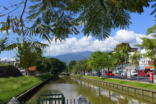 grünes Chiang Mai